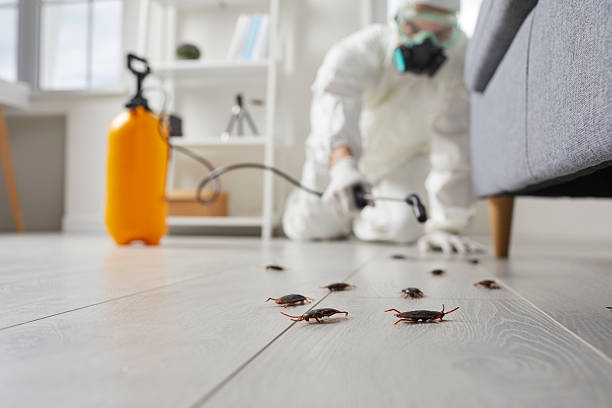 Post-Treatment Bed Bug Interceptor Monitoring in Southmont