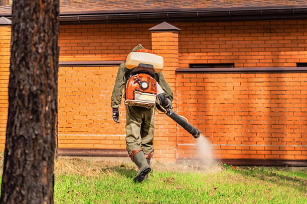 Bed Bug Clearance Verification and Documentation in Southmont